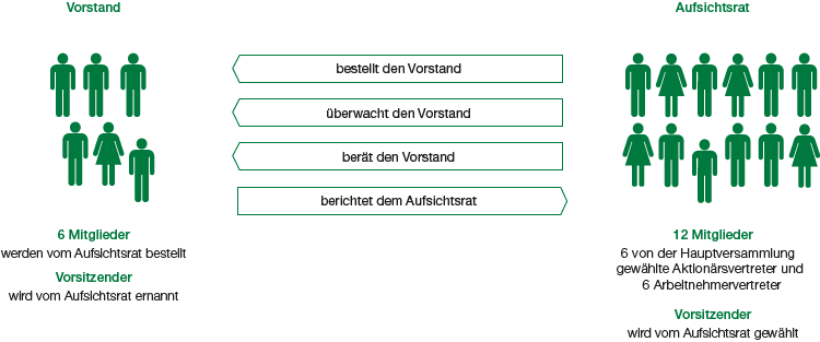 Duales Leitungssystem der BASF SE (Grafik)