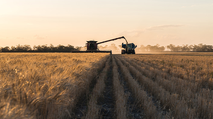 Tirexor®: novel herbicide – harvesting on a field (photo)